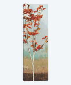 Maple Tree II