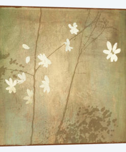 Audace, Detail