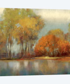 Reflections I