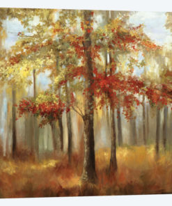 Soft Light I