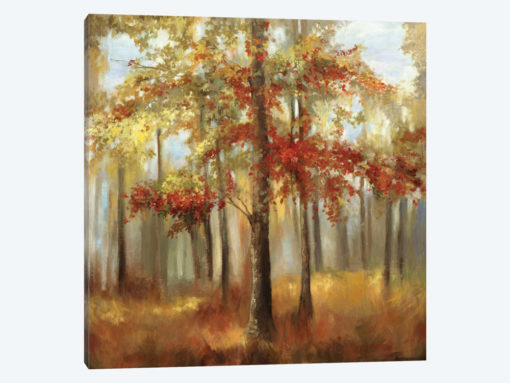 Soft Light I