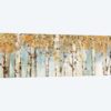 Birch Country