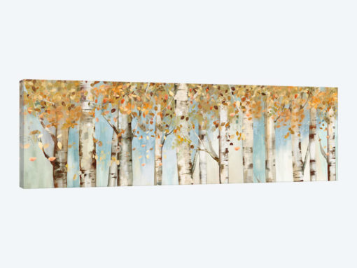 Birch Country