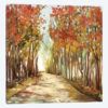 Sunny Path
