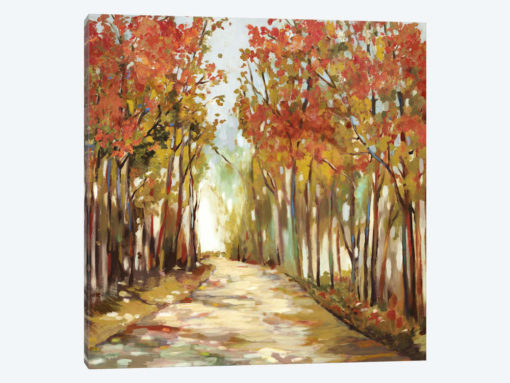 Sunny Path