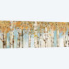 Birch Country
