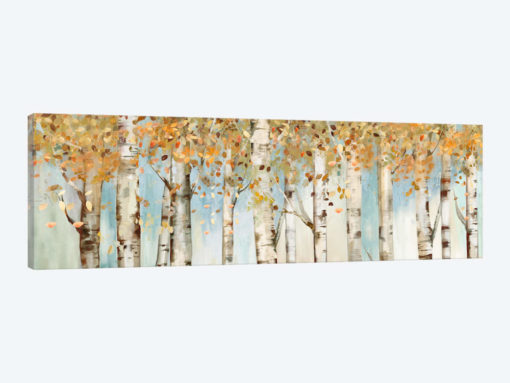 Birch Country