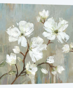 Sweetbay Magnolia I