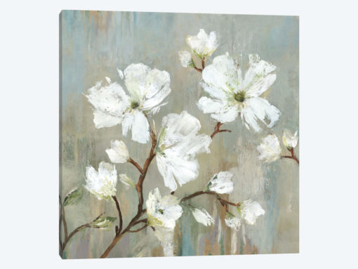 Sweetbay Magnolia I