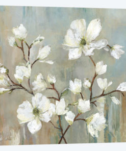 Sweetbay Magnolia II