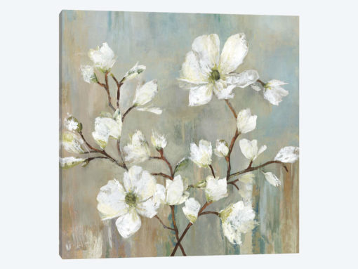 Sweetbay Magnolia II
