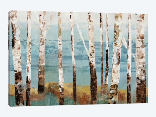 Birch Reflection
