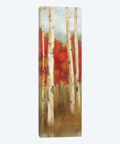 The Edge Lookout II