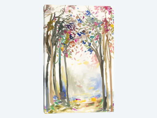 Sunny Path I