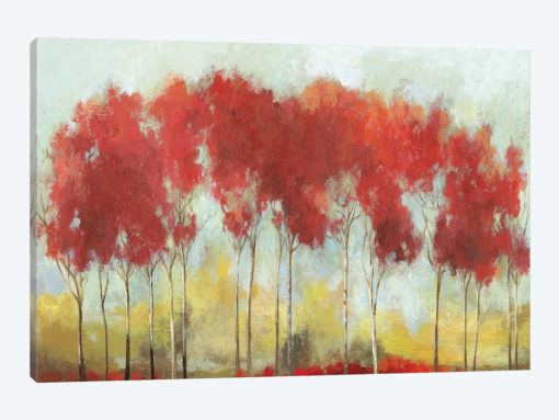 A Fall Day Breeze
