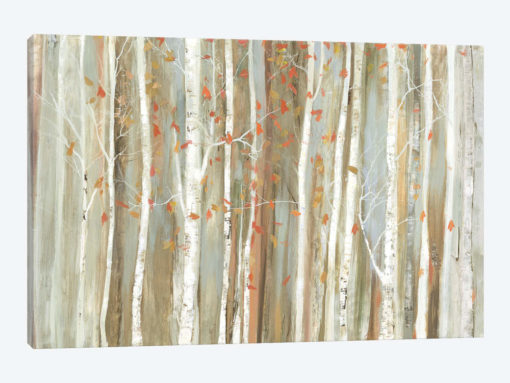 Birch Bark