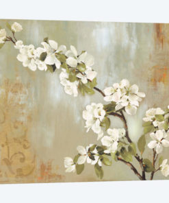 Blossoms In Bloom