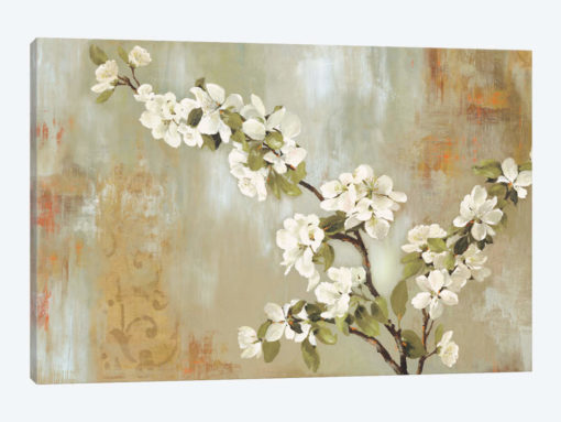Blossoms In Bloom