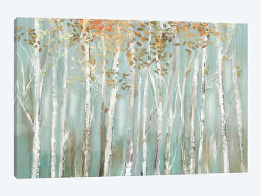 Enchanted Forest