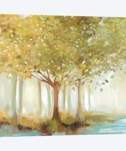 Forest River