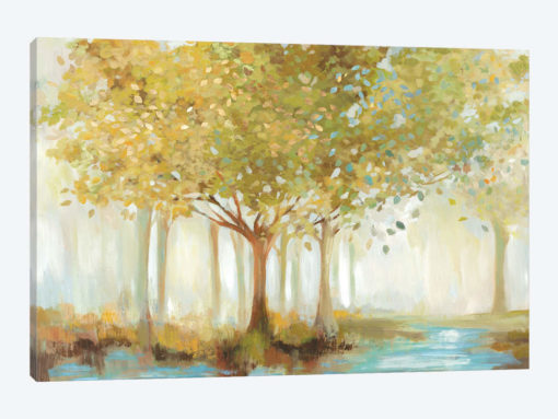 Forest River