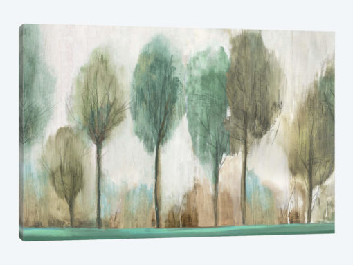 Tall Trees