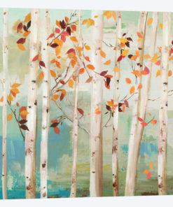 Fall Birch Trees