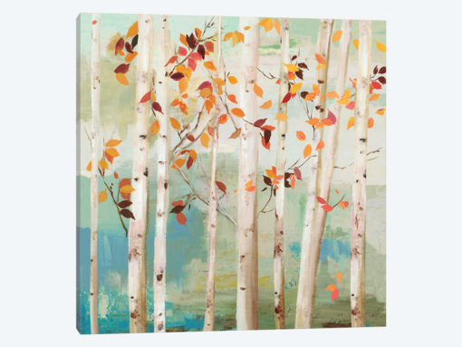 Fall Birch Trees