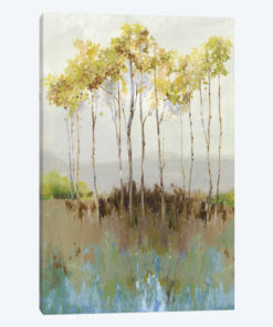 Peaceful Woodland