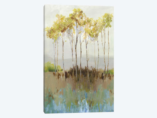 Peaceful Woodland