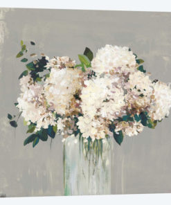 White Hydrangea