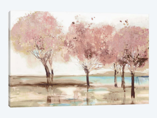 Spring Transition