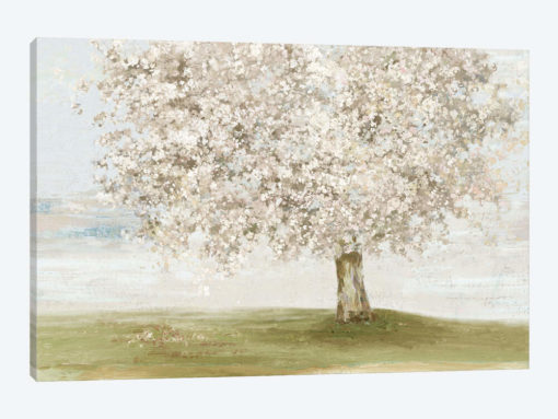 Language of Nature