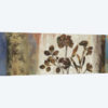Anthropologie II
