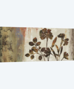 Anthropologie II