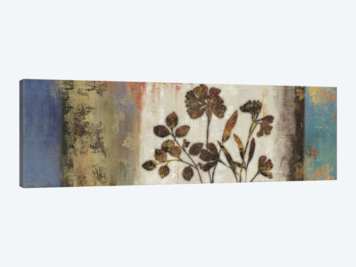 Anthropologie II
