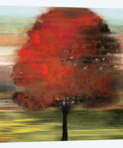 Flow Trees I