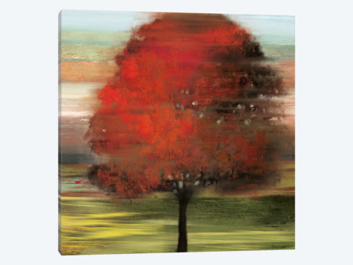 Flow Trees I