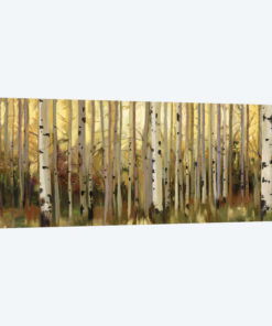 Forest Light