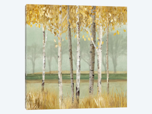 Golden Birch