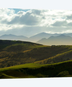 Country Landscape, Central Otago, South Island, New Zealand