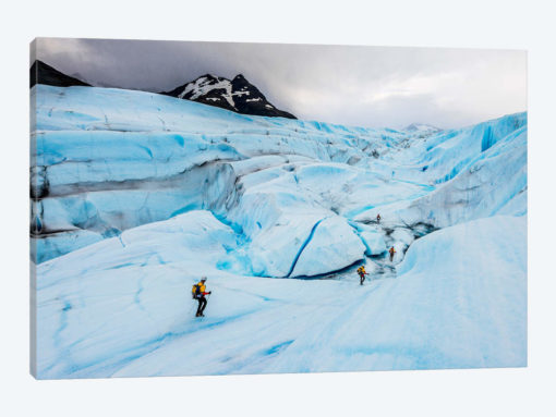 A Team Of Trekkers Cross The Massive Tyndall Glacier In Torres Del Paine, Patagonia, Chile