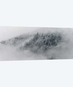 Details Of Snowy Trees In Chamonix, France