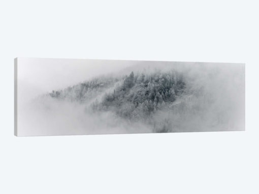 Details Of Snowy Trees In Chamonix, France