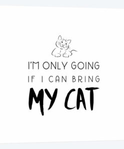 Bring My Cat