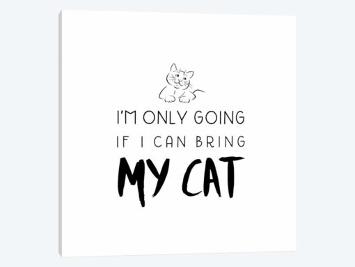 Bring My Cat