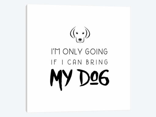 Bring My Dog