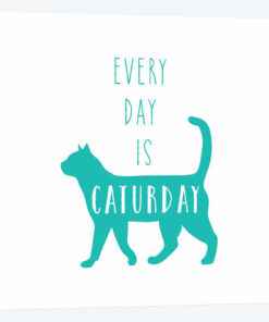Caturday
