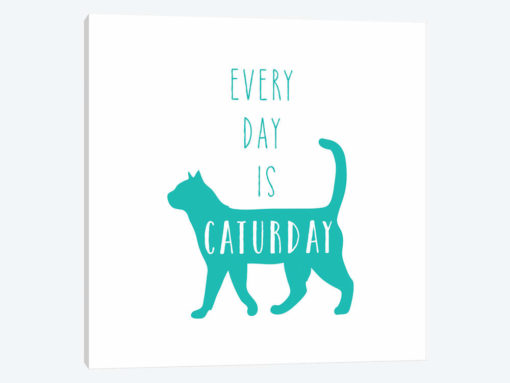 Caturday