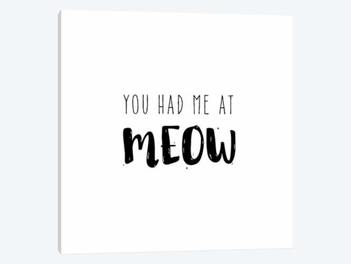 Had Me At Meow